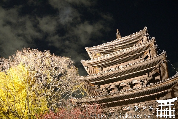京都夜楓-清水寺夜楓-來京都賞楓不可錯過的夜楓景點