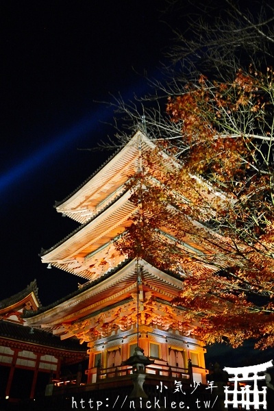 京都夜楓-清水寺夜楓