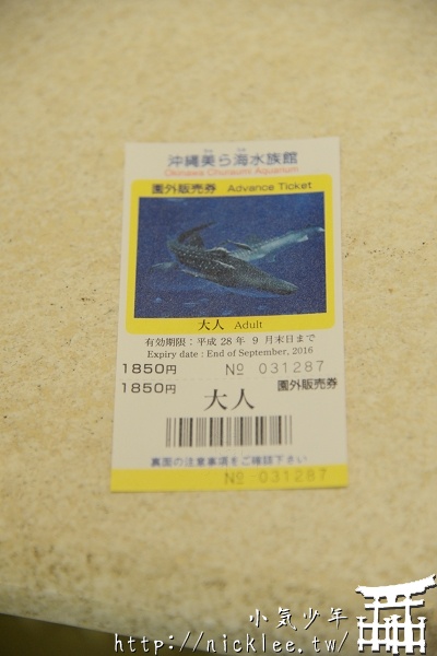 【沖繩】沖繩美麗海水族館-來看世界上最大的魚類-鯨鯊