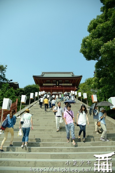 【神奈川】鎌倉景點-鶴岡八幡宮