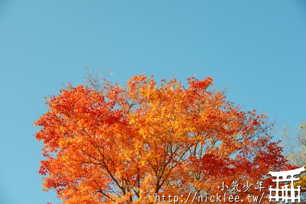 【岩手縣】秋天可以賞楓看雲海的安比格蘭飯店