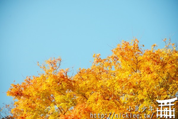 【岩手縣】秋天可以賞楓看雲海的安比格蘭飯店