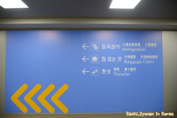 從桃園到韓國仁川機場入境與韓國基本常識
