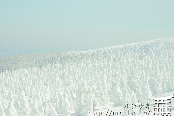 山形-藏王樹冰