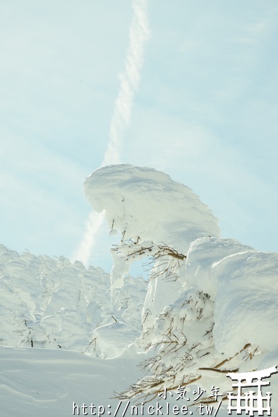 山形-藏王樹冰