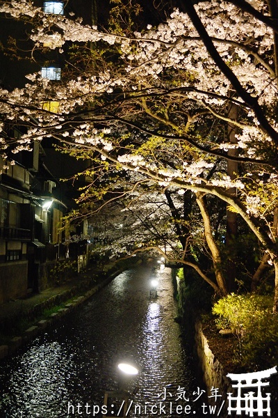 京都夜櫻-高瀨川-白川巽橋