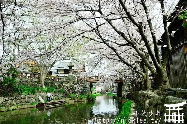 【滋賀景點】近江八幡-八幡堀-櫻花、遊船與護城河