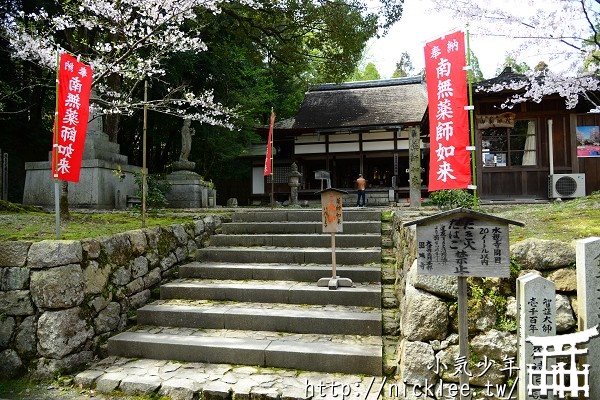 滋賀賞櫻名所-三井寺