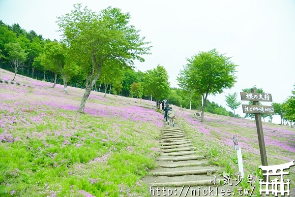 【北海道】湧別町鬱金香公園與瀧上芝櫻公園
