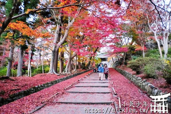 【京都山科景點】毘沙門堂門跡賞楓-6個參觀重點,勅使坂是紅葉招牌景點