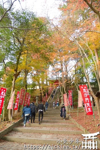 【京都山科景點】毘沙門堂門跡賞楓-6個參觀重點,勅使坂是紅葉招牌景點