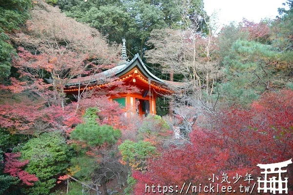 【京都山科景點】毘沙門堂門跡賞楓-6個參觀重點,勅使坂是紅葉招牌景點