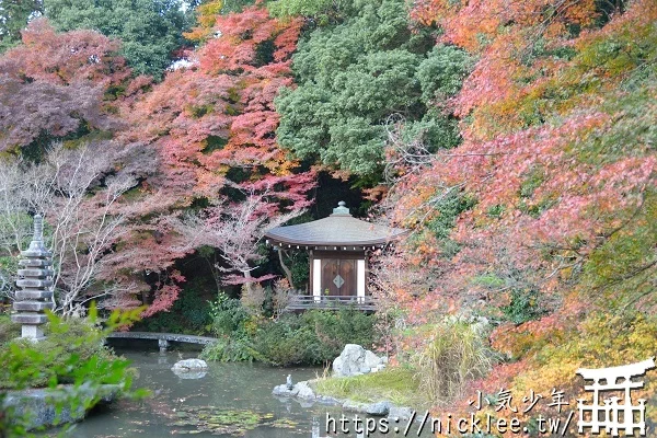 【京都山科景點】毘沙門堂門跡賞楓-6個參觀重點,勅使坂是紅葉招牌景點