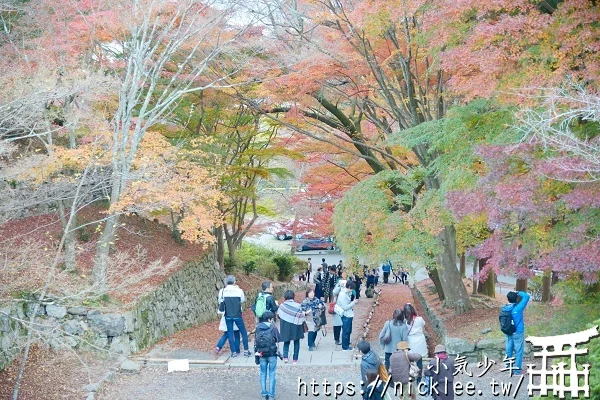 【京都山科景點】毘沙門堂門跡賞楓-6個參觀重點,勅使坂是紅葉招牌景點