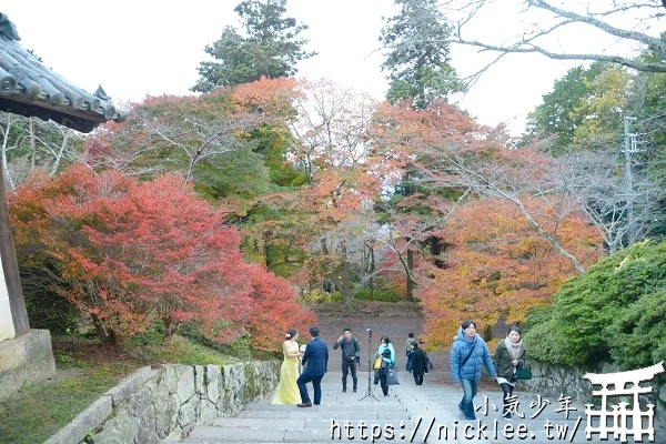 【京都山科景點】毘沙門堂門跡賞楓-6個參觀重點,勅使坂是紅葉招牌景點