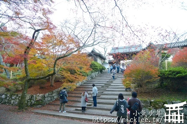 【京都山科景點】毘沙門堂門跡賞楓-6個參觀重點,勅使坂是紅葉招牌景點