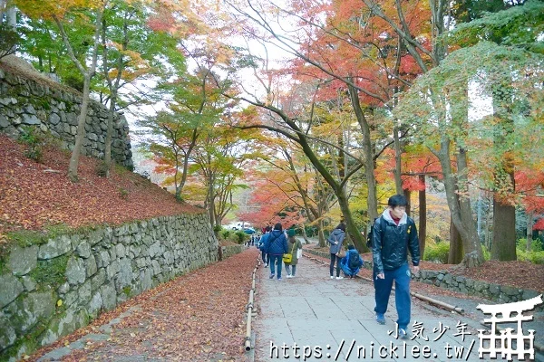 【京都山科景點】毘沙門堂門跡賞楓-6個參觀重點,勅使坂是紅葉招牌景點