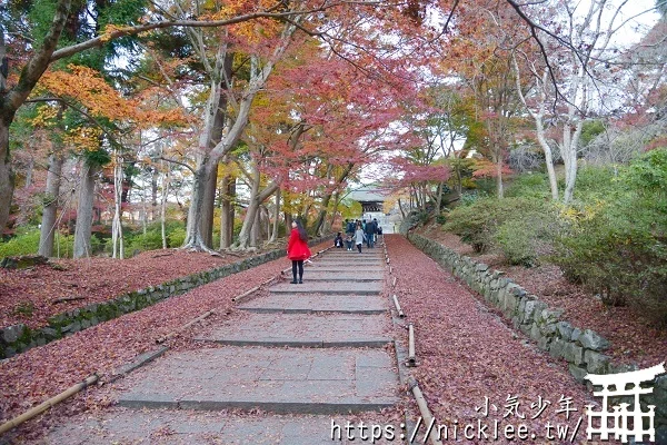 【京都山科景點】毘沙門堂門跡賞楓-6個參觀重點,勅使坂是紅葉招牌景點