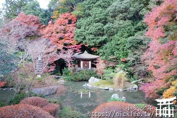 【京都山科景點】毘沙門堂門跡賞楓-6個參觀重點,勅使坂是紅葉招牌景點