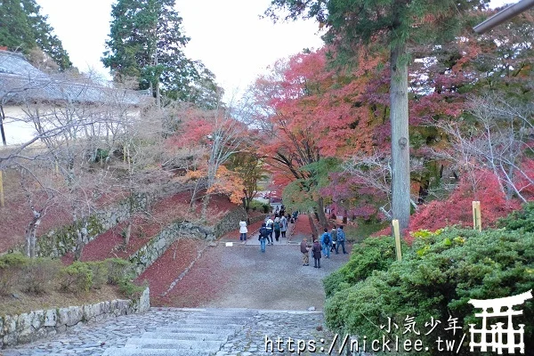 【京都山科景點】毘沙門堂門跡賞楓-6個參觀重點,勅使坂是紅葉招牌景點