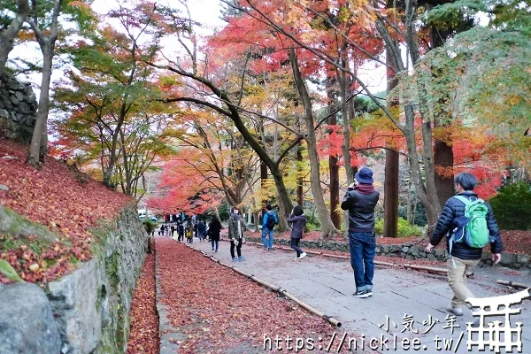 【京都山科景點】毘沙門堂門跡賞楓-6個參觀重點,勅使坂是紅葉招牌景點