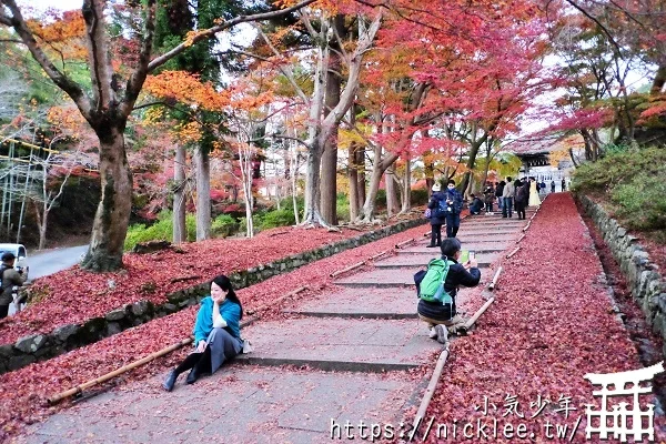 【京都山科景點】毘沙門堂門跡賞楓-6個參觀重點,勅使坂是紅葉招牌景點