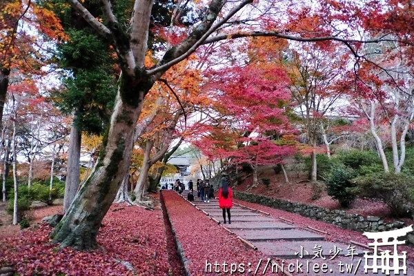 【京都山科景點】毘沙門堂門跡賞楓-6個參觀重點,勅使坂是紅葉招牌景點