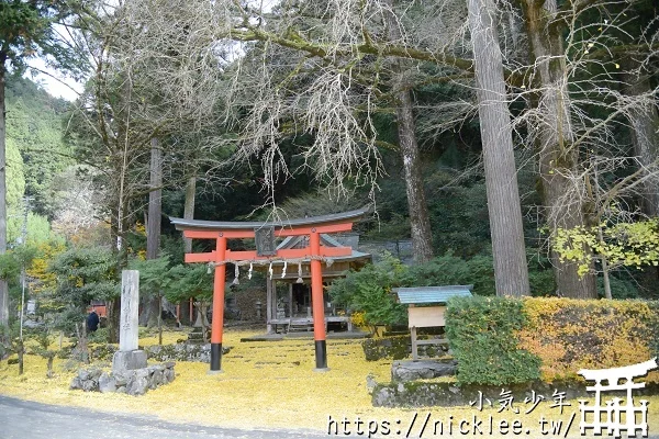 岩戶落葉神社-旅遊雜誌封面常客,遠離京都市區的金黃銀杏祕境