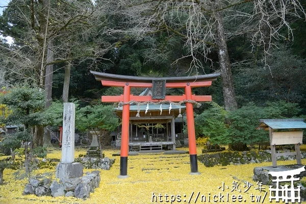 岩戶落葉神社-旅遊雜誌封面常客,遠離京都市區的金黃銀杏祕境