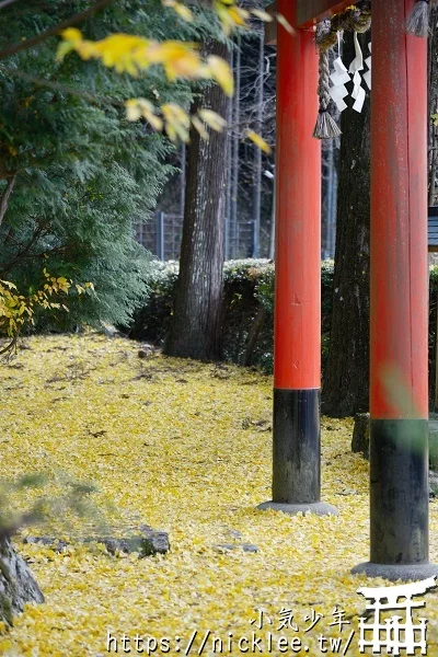 岩戶落葉神社-旅遊雜誌封面常客,遠離京都市區的金黃銀杏祕境