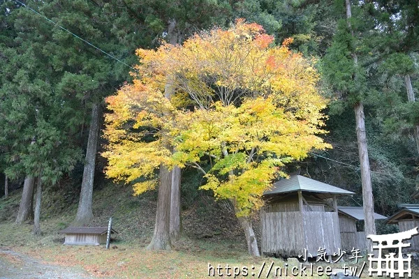 岩戶落葉神社-旅遊雜誌封面常客,遠離京都市區的金黃銀杏祕境