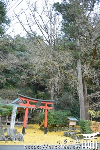 岩戶落葉神社-旅遊雜誌封面常客,遠離京都市區的金黃銀杏祕境