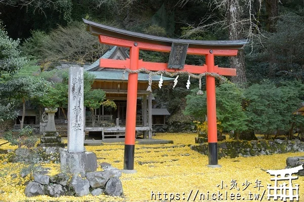 岩戶落葉神社-旅遊雜誌封面常客,遠離京都市區的金黃銀杏祕境