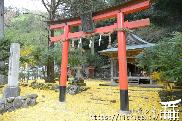 岩戶落葉神社-旅遊雜誌封面常客,遠離京都市區的金黃銀杏祕境