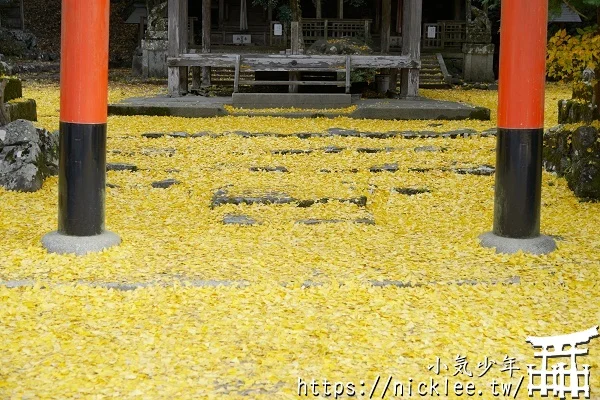 岩戶落葉神社-旅遊雜誌封面常客,遠離京都市區的金黃銀杏祕境