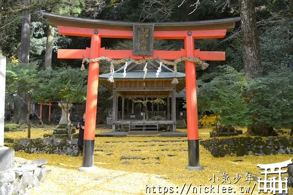 岩戶落葉神社-旅遊雜誌封面常客,遠離京都市區的金黃銀杏祕境