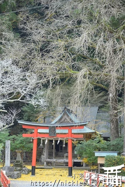 岩戶落葉神社-旅遊雜誌封面常客,遠離京都市區的金黃銀杏祕境