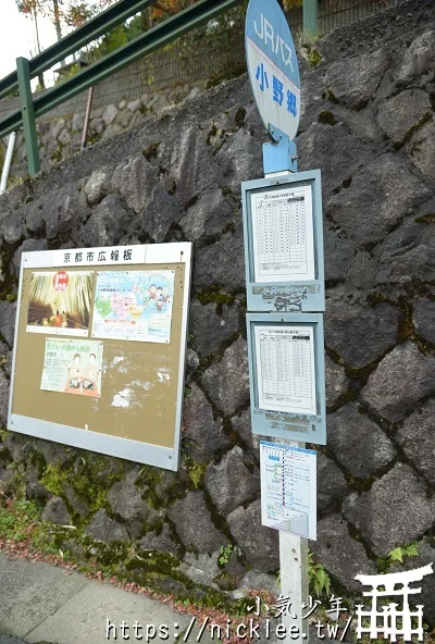 岩戶落葉神社-旅遊雜誌封面常客,遠離京都市區的金黃銀杏祕境