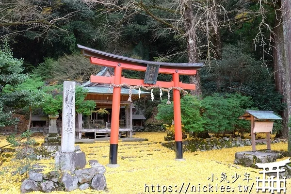 岩戶落葉神社-旅遊雜誌封面常客,遠離京都市區的金黃銀杏祕境