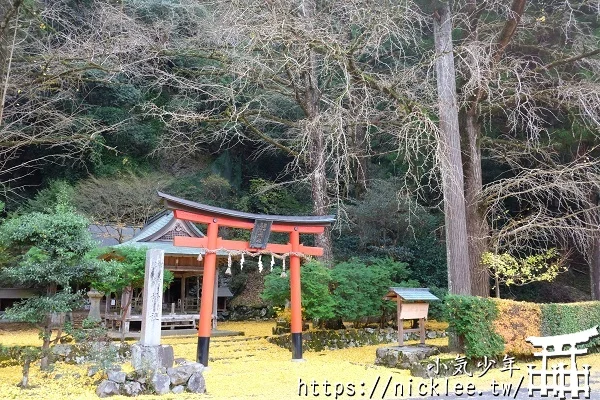 岩戶落葉神社-旅遊雜誌封面常客,遠離京都市區的金黃銀杏祕境