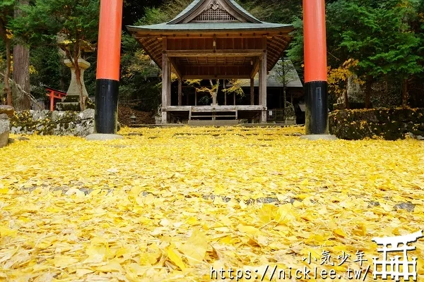 岩戶落葉神社-旅遊雜誌封面常客,遠離京都市區的金黃銀杏祕境