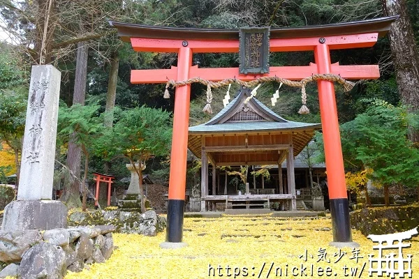 岩戶落葉神社-旅遊雜誌封面常客,遠離京都市區的金黃銀杏祕境