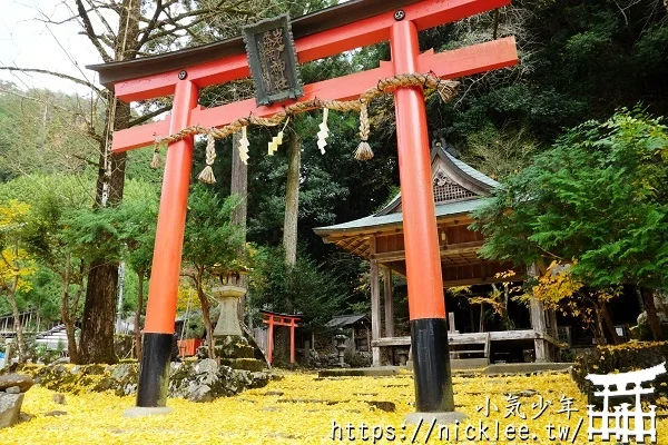 岩戶落葉神社-旅遊雜誌封面常客,遠離京都市區的金黃銀杏祕境