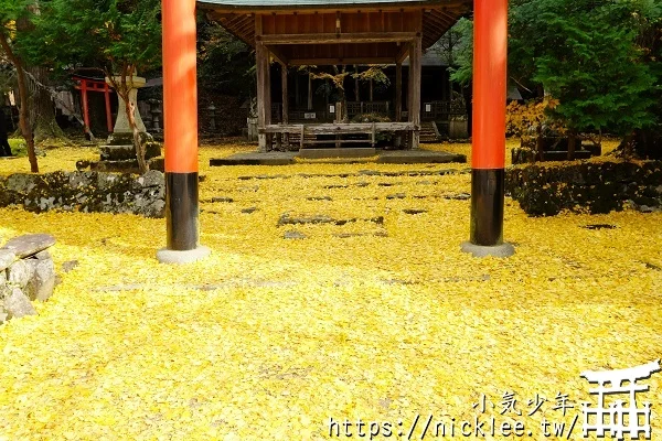 岩戶落葉神社-旅遊雜誌封面常客,遠離京都市區的金黃銀杏祕境