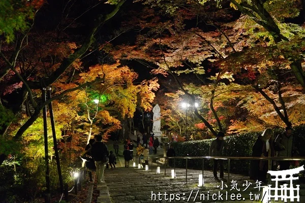 永觀堂夜楓-京都夜楓排名第一位