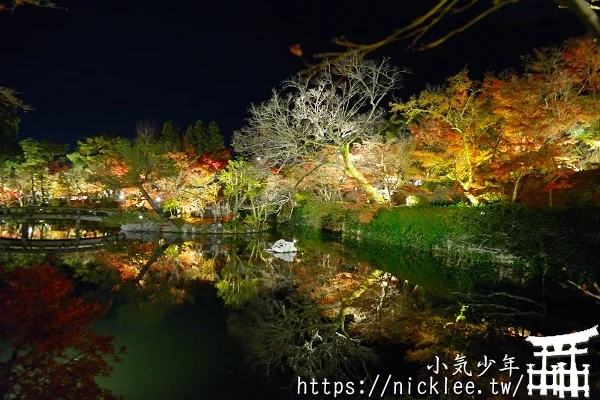 永觀堂夜楓-京都夜楓排名第一位