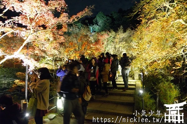 永觀堂夜楓-京都夜楓排名第一位