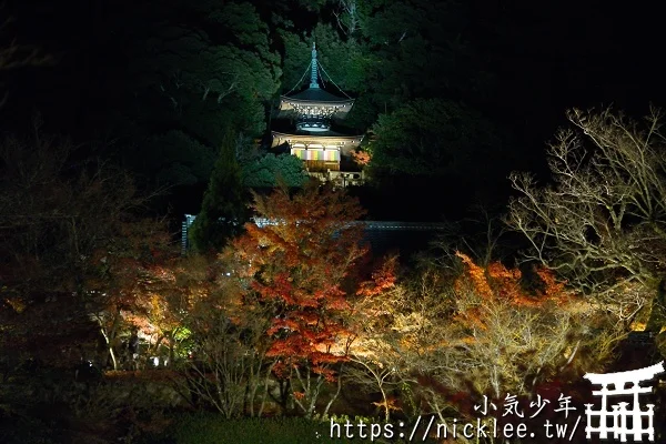 永觀堂夜楓-京都夜楓排名第一位