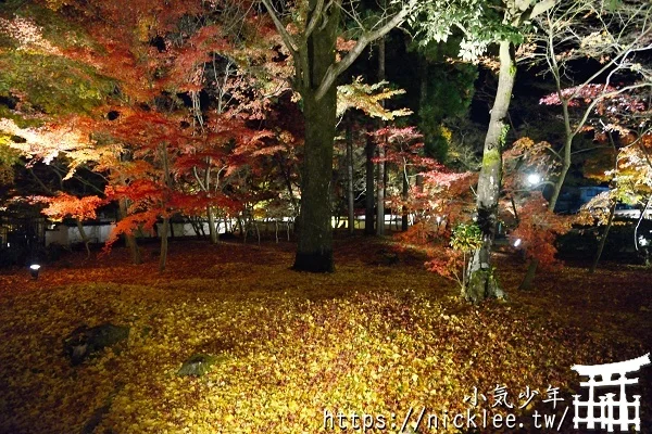 永觀堂夜楓-京都夜楓排名第一位