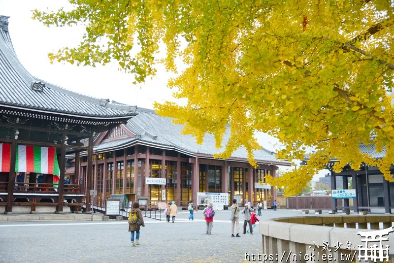 【京都景點】西本願寺的大銀杏,樹齡400年以上,適合作為半天行程安排的景點